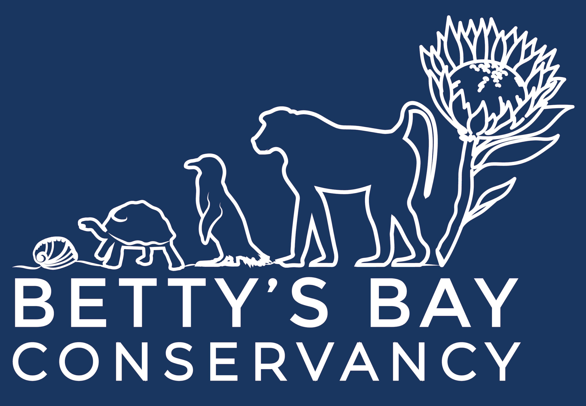 newsletter-december-2022-bettys-bay